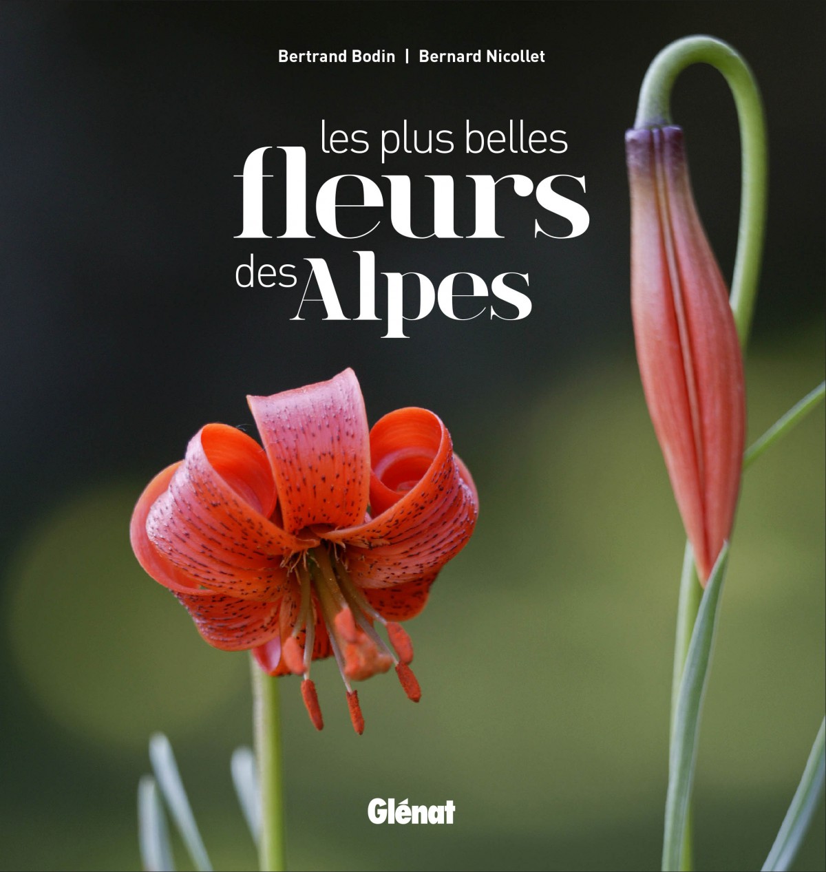 Couverture livre Les plus belles fleurs des Alpes