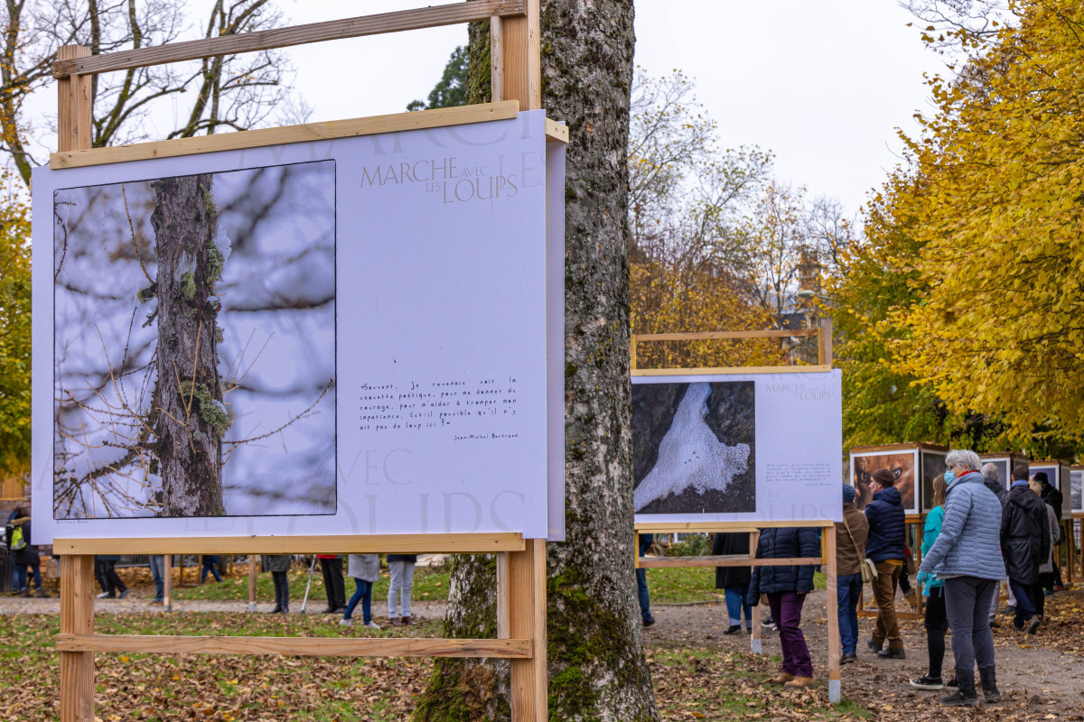 Marche avec les loups, exposition photographique de Bertrand Bodin, Festival de Montier