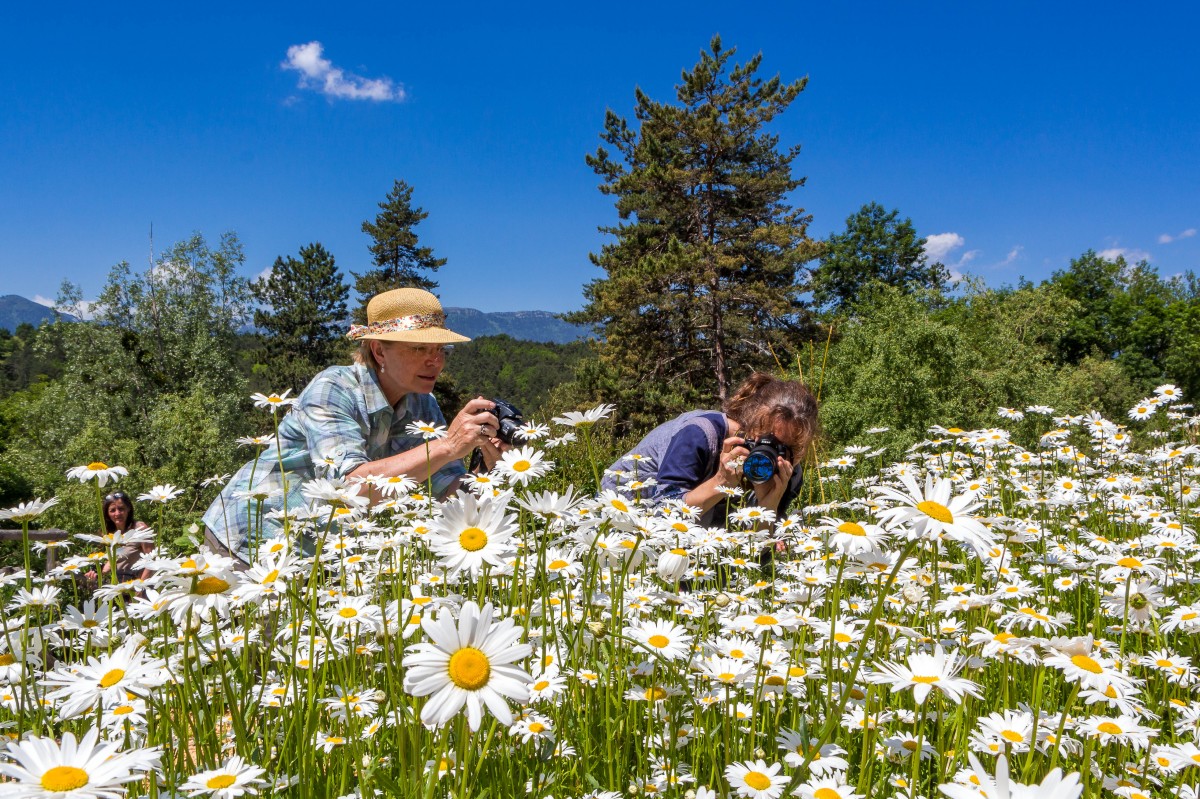 Stage photo macro nature Terre Vivante