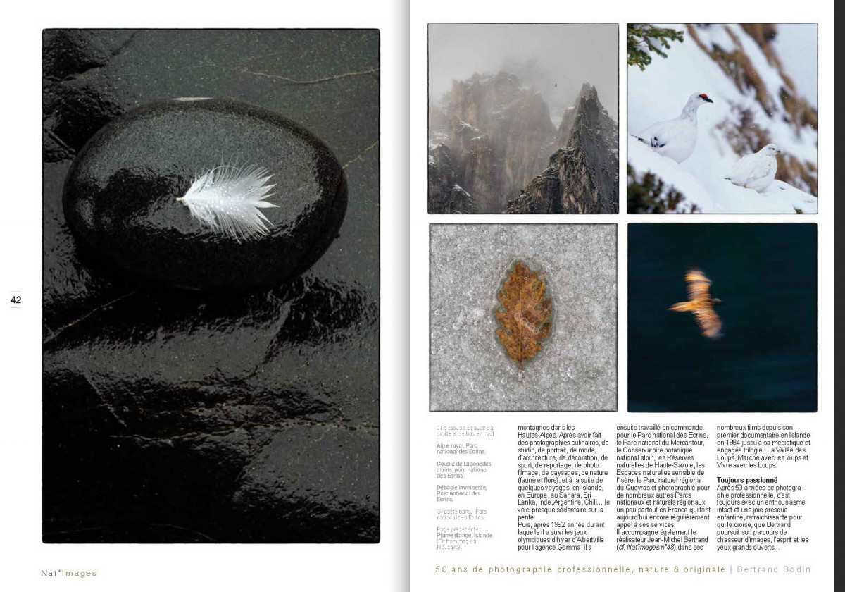 Bertrand Bodin - Parcours de Pro : 50 ans de photo nature originale (Nat'Images N° 87-2)