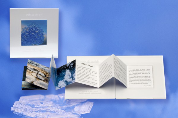 Livre d'artiste Délices de gel de Bertrand Bodin