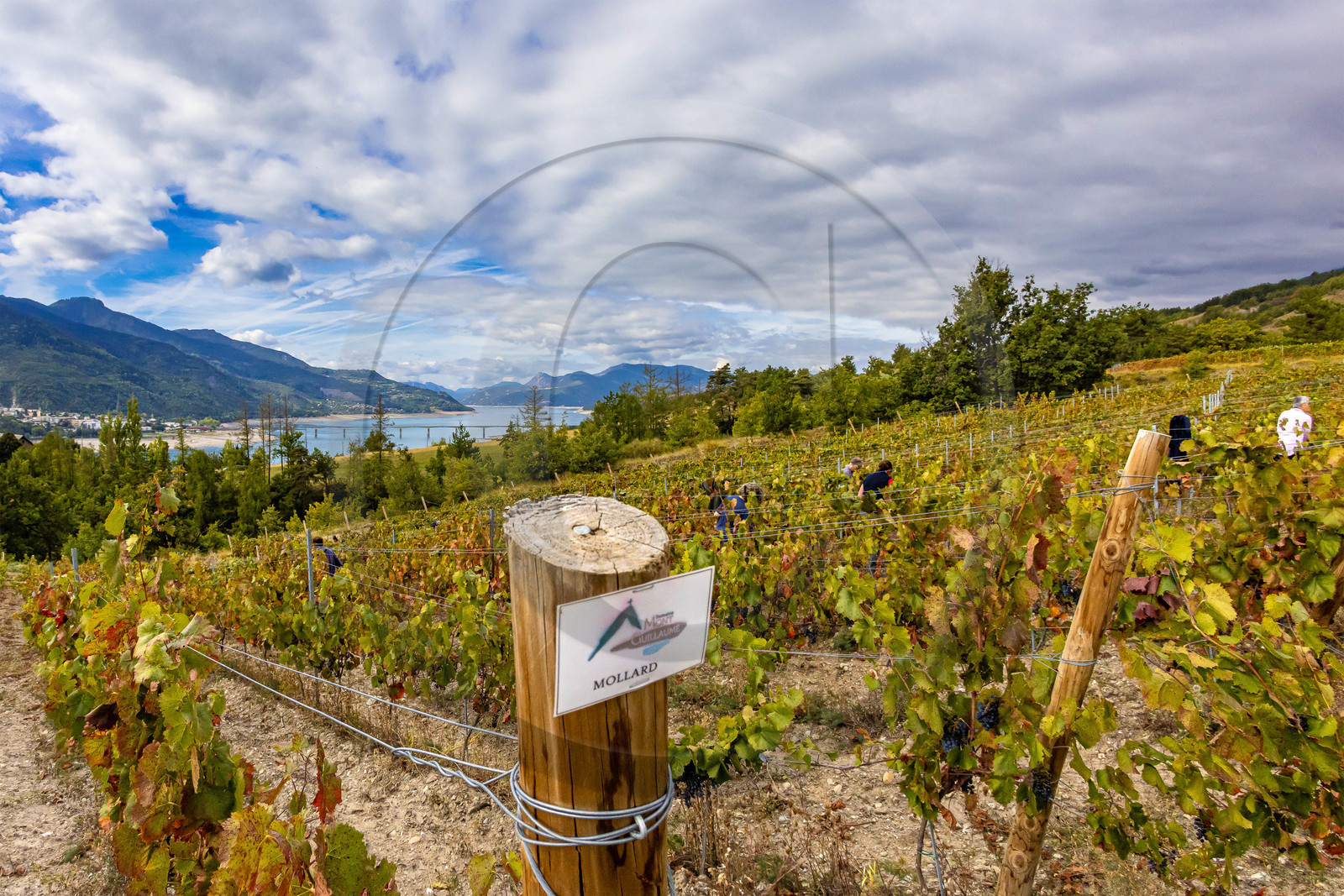 Domaine du Mont Guillaume