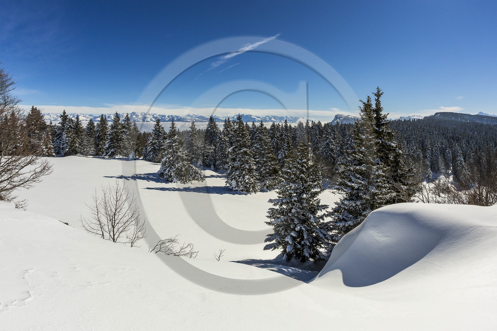 ENS de l'Isère, Plateau de la Molière et du Sornin