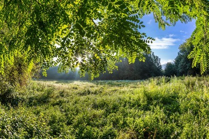 ENS de l'Isère, étang de Mai