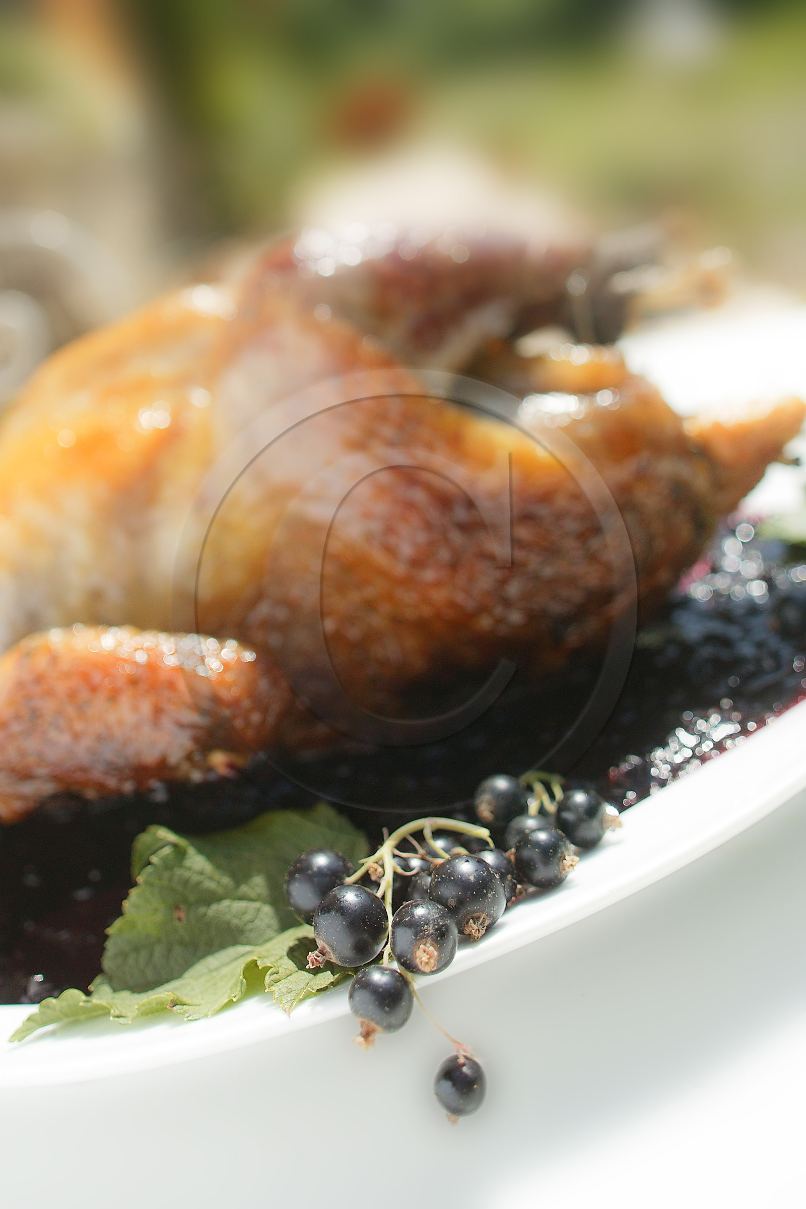 Auberge du Moulin, pintade aux cassis