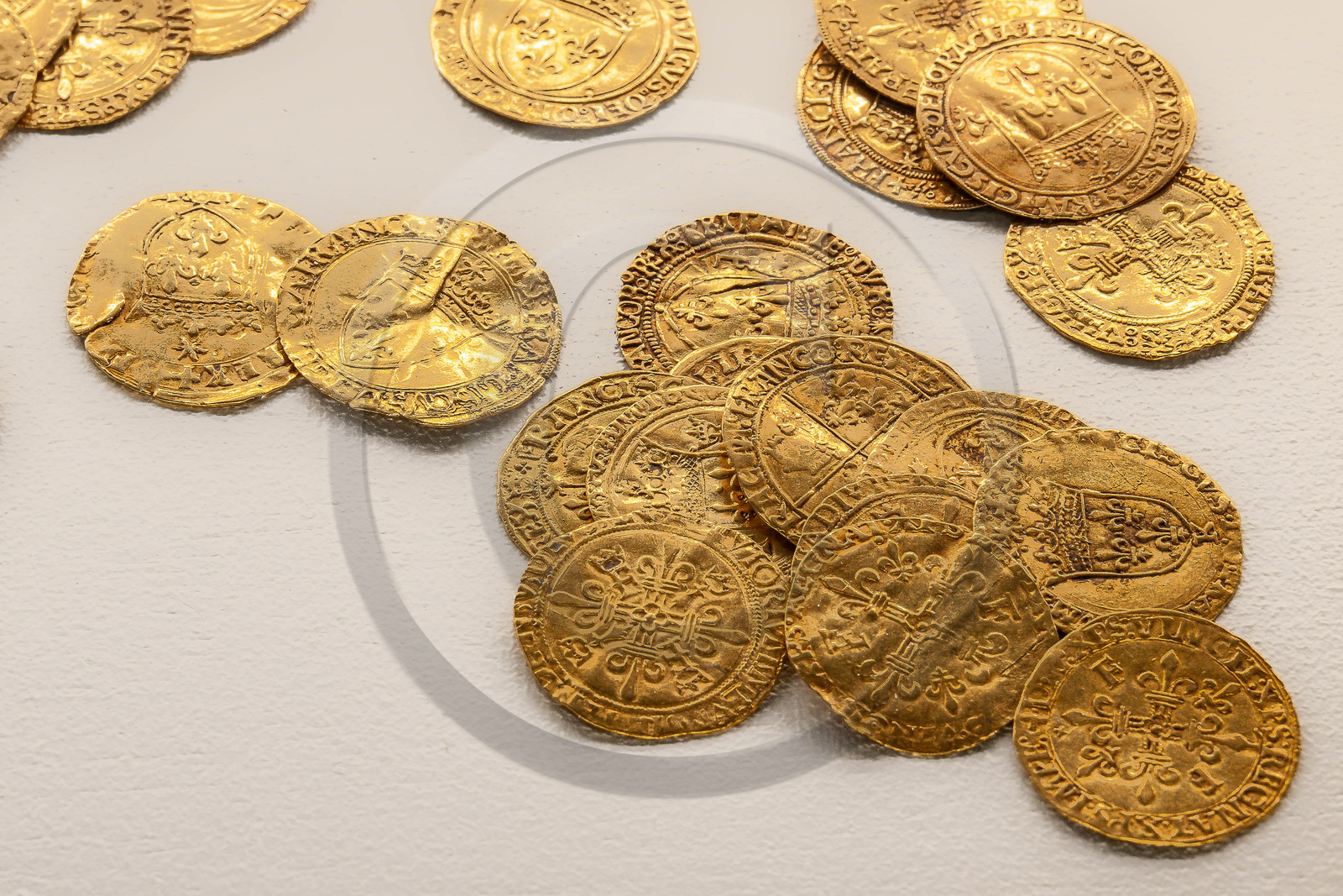 Musée Muséum départemental des Hautes-Alpes,  le trésor monétaire de Séderon