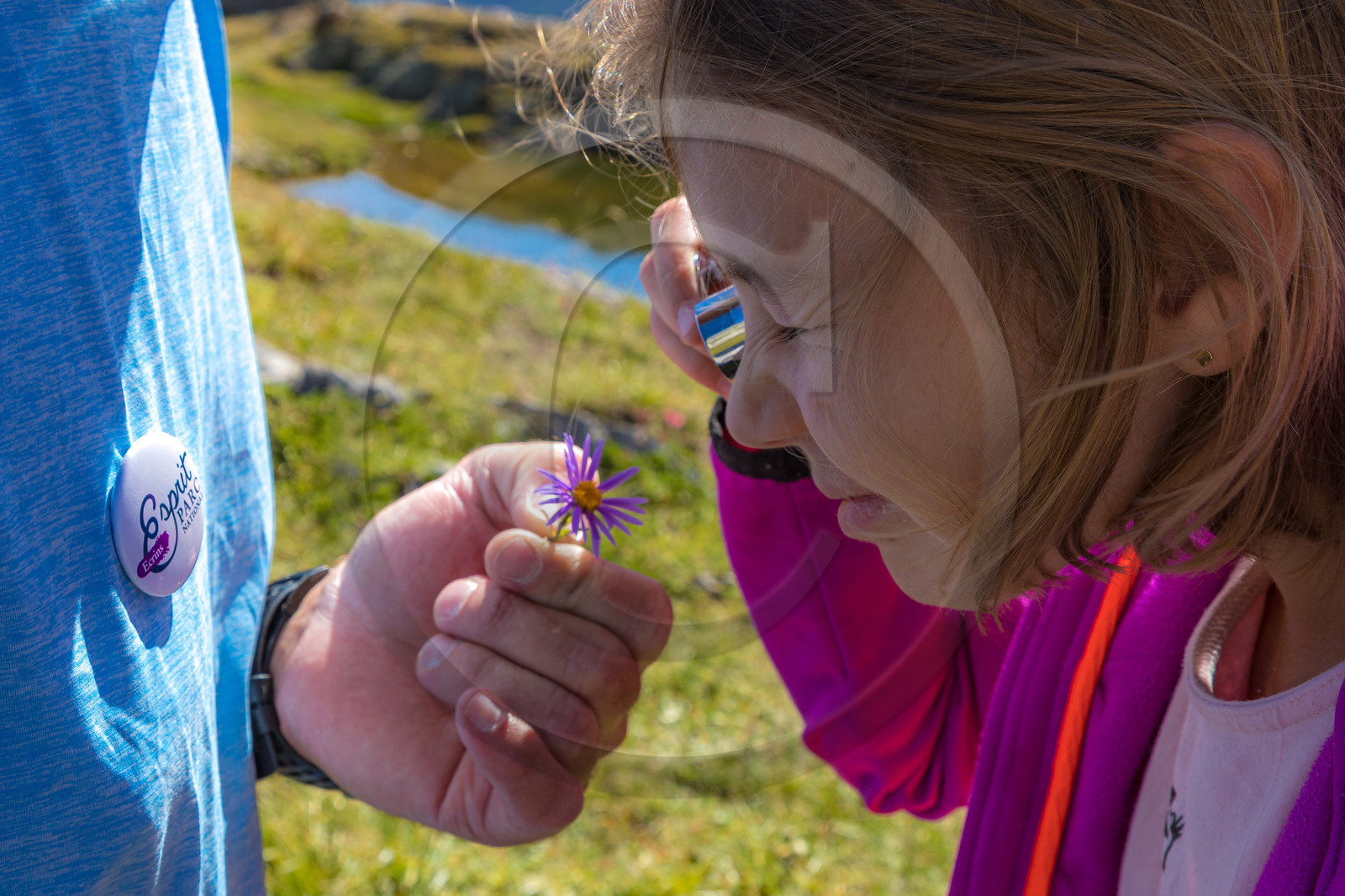 Plateau d'Emparis, randonnée pédestre