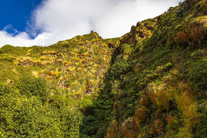 La Soufrière, volcan actif de la Guadeloupe