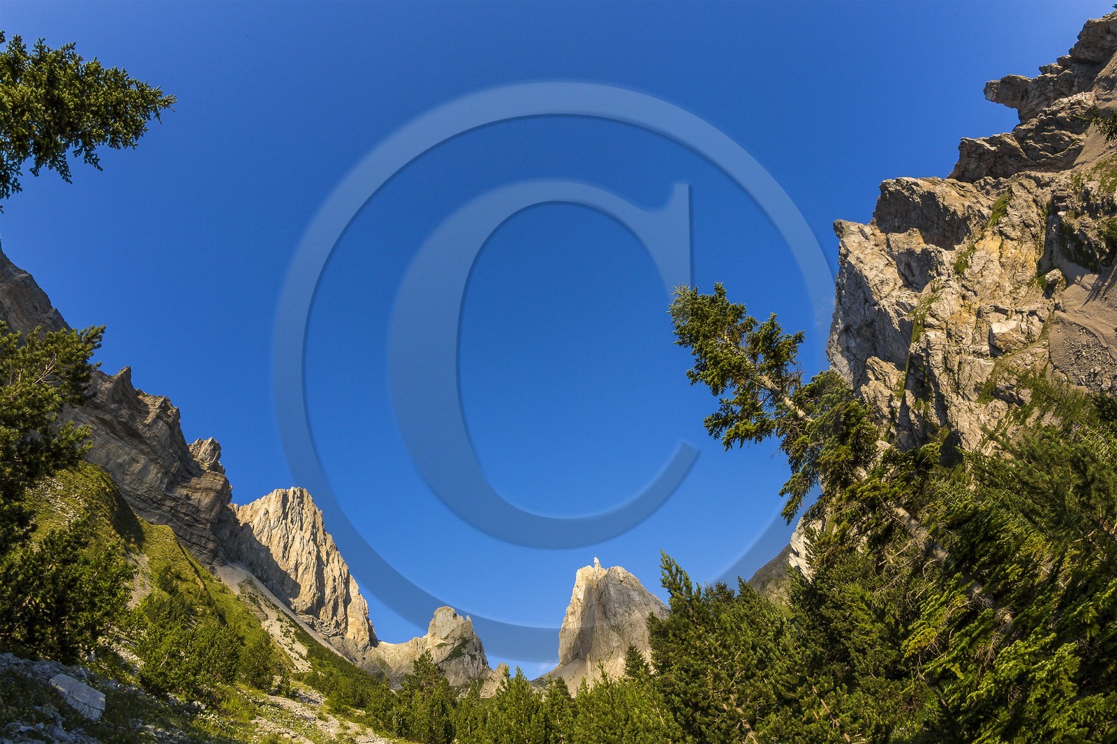 vallon de La Jarjatte, crète des Aiguilles
