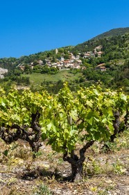 Domaine Allemand,  Laetitia et Marc Allemand , viticulteurs