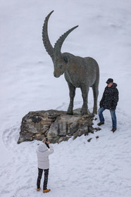 Pralognan-la-Vanoise, bouquetin en bronze