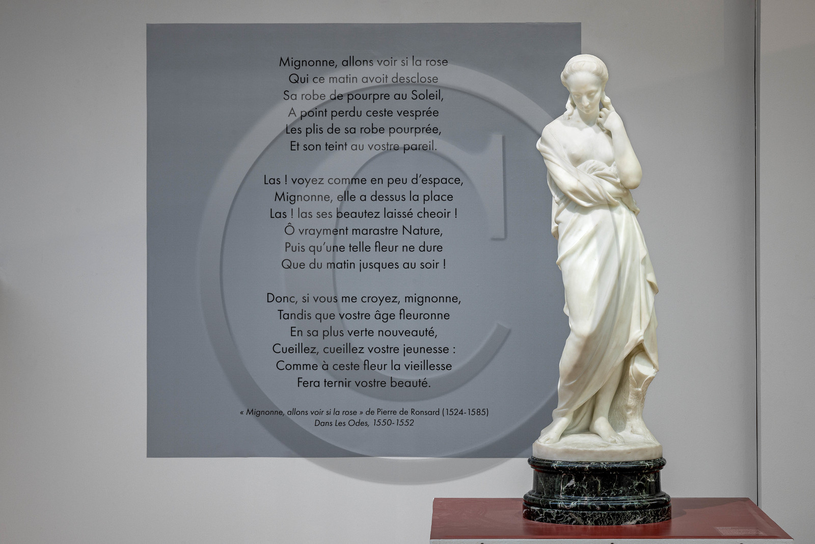 Gap, Musée Muséum départemental des Hautes-Alpes, Jean Esprit Marcellin