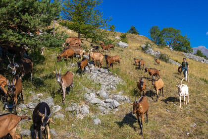 Ferme du Bayle