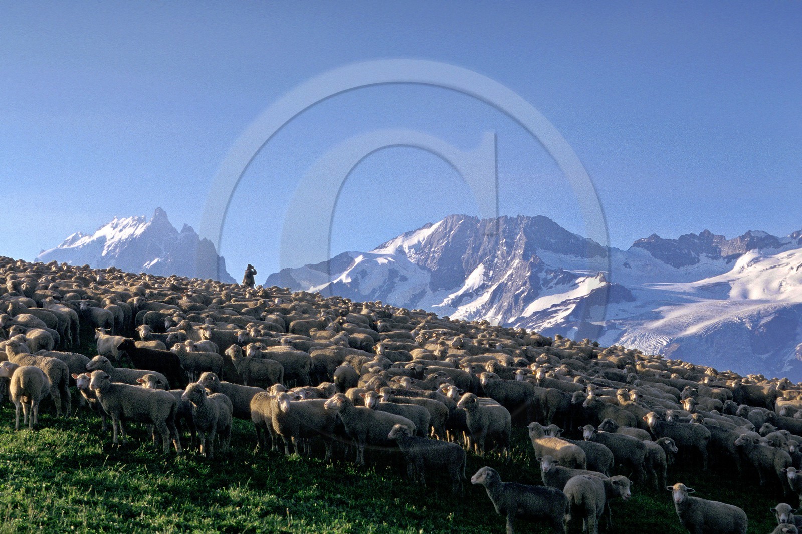 Alpage Plateau Emparis