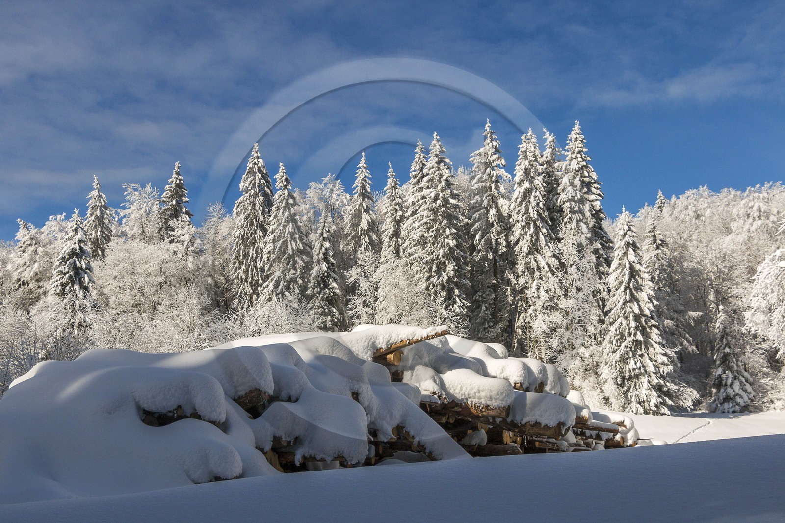 ENS de l'Isère, Les Ecouges