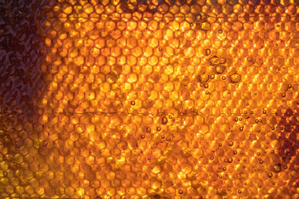 Margaux and Didier Pissard, beekeepers
