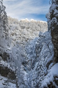 ENS de l'Isère, Les Ecouges