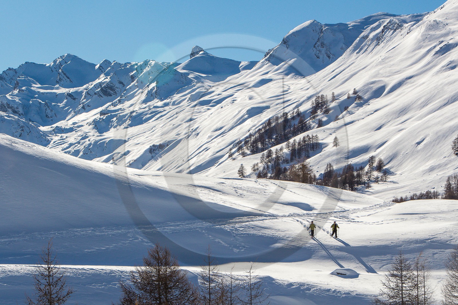 Col de Larche, vallon du lauzanier, randonnée raquettes