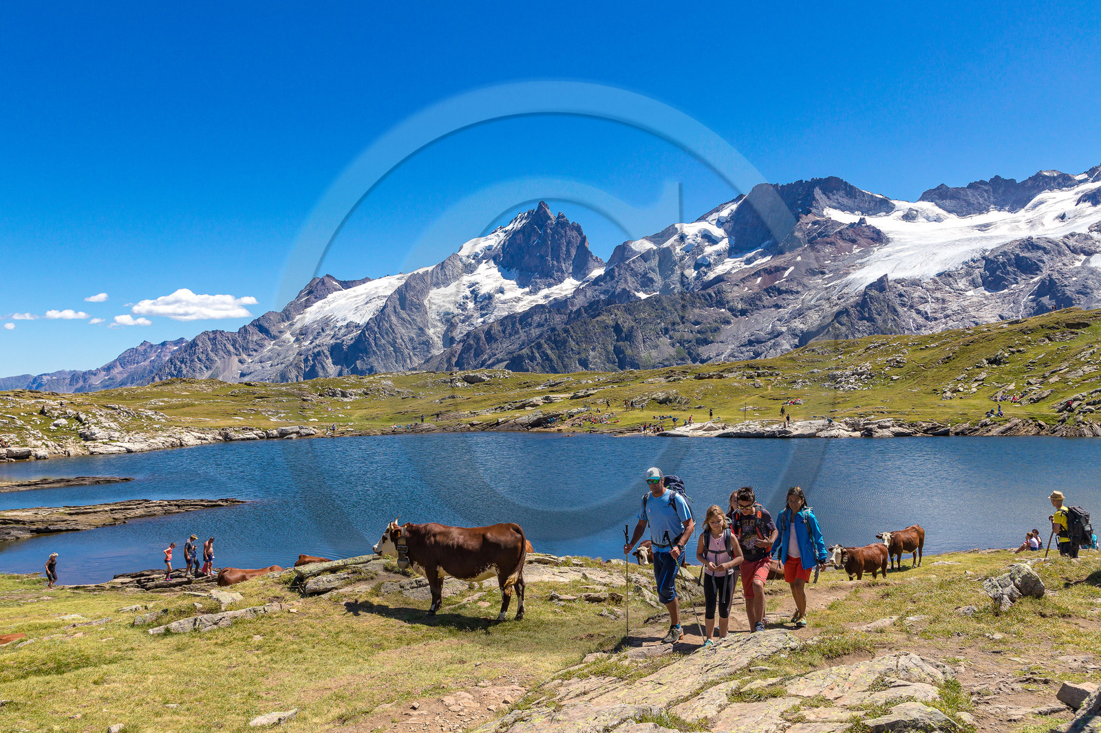 Plateau d'Emparis, randonnée pédestre