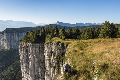 ENS de l'Isère, Plateau de la Molière et du Sornin, du plateau de Sornin