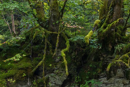 ENS de l'Isère, Les Ecouges
