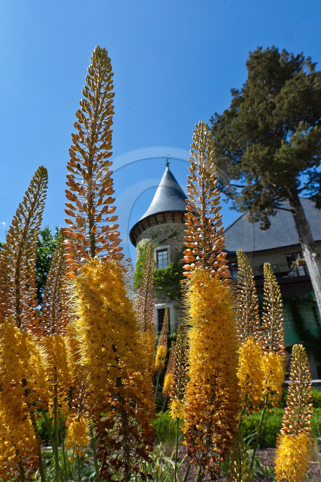 Château de Picomtal,  les jardins du château