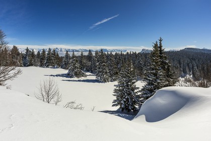 ENS de l'Isère, Plateau de la Molière et du Sornin