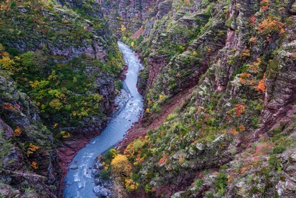 Gorges de Daluis