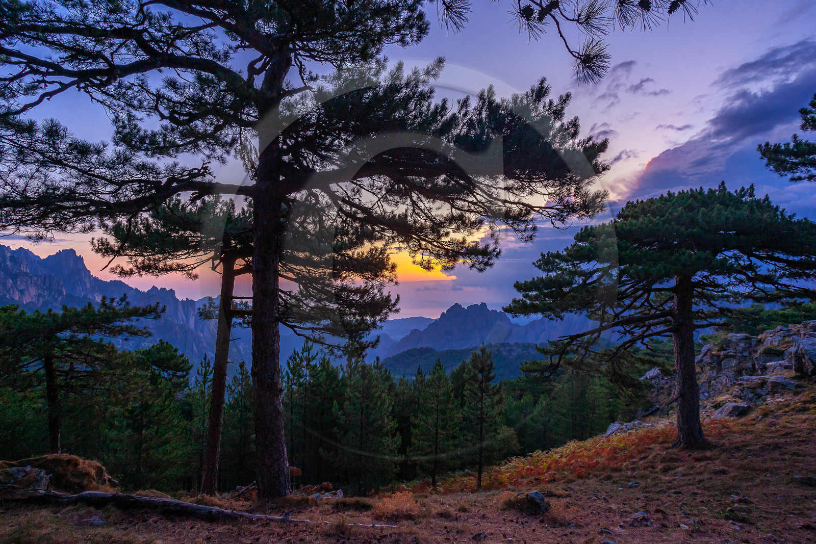 Les Aiguilles de Bavella (forchi di Bavedda )