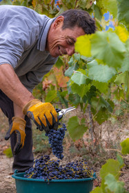 Domaine du Mont Guillaume