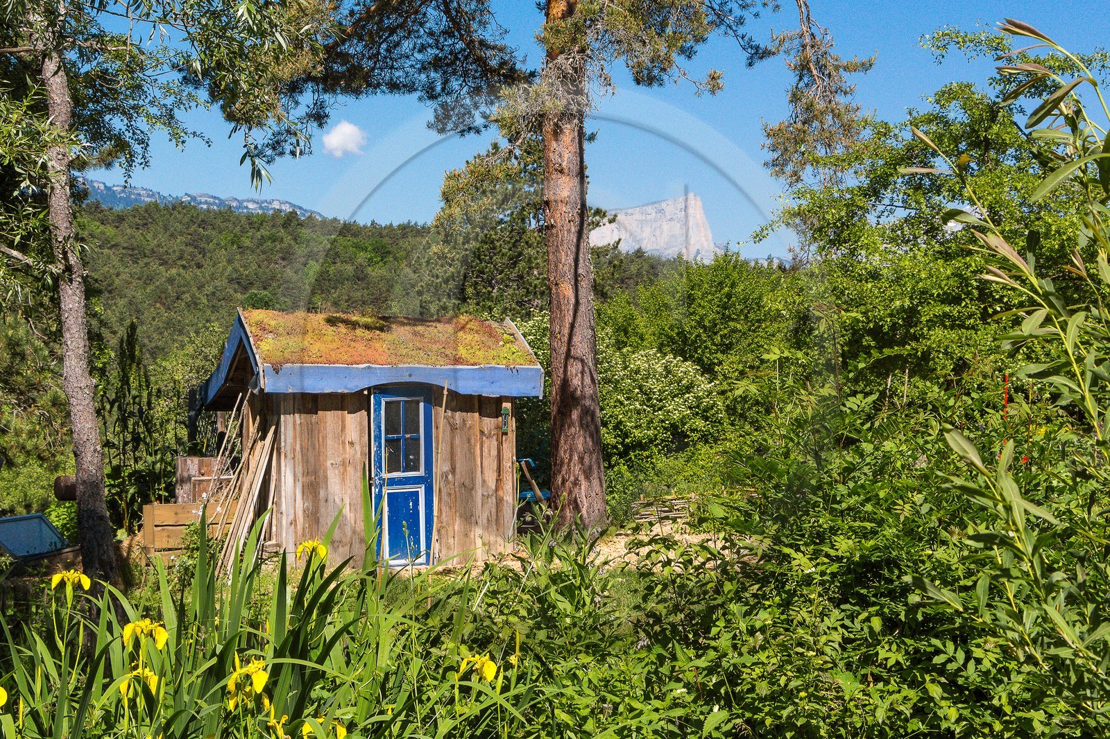 Parc écologique Terre Vivante, stage photo macro nature