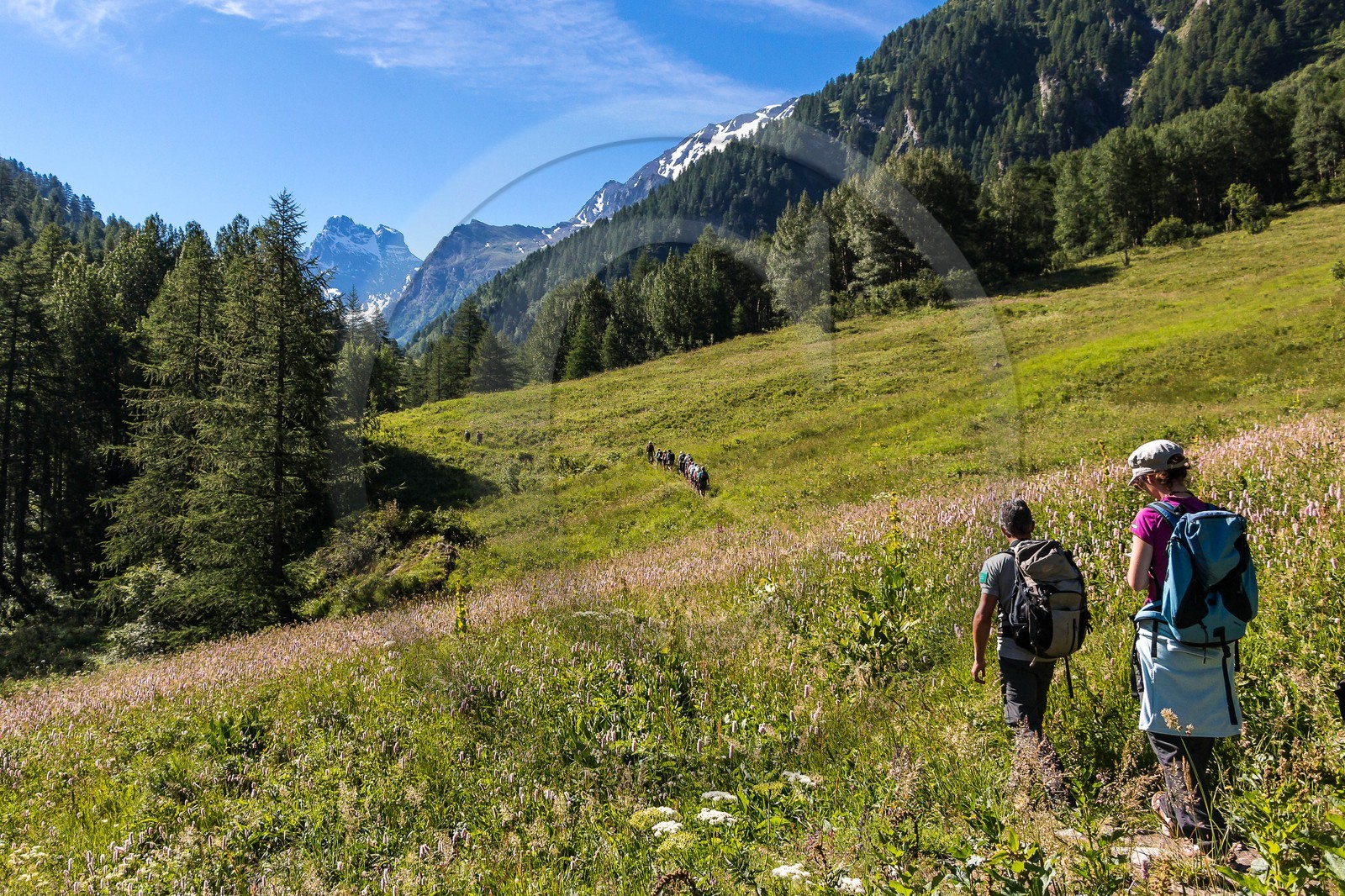 Réserve naturelle de Ristolas-Mont Viso, randonnée au petit belvédère du Viso