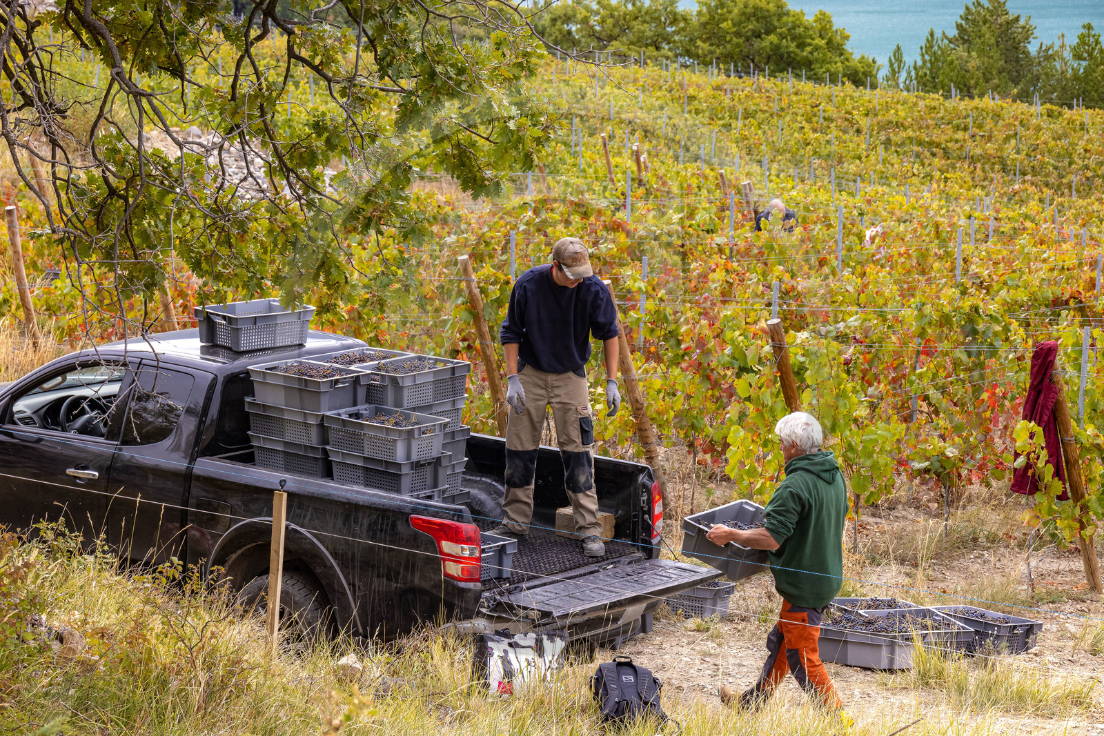 Domaine du Mont Guillaume