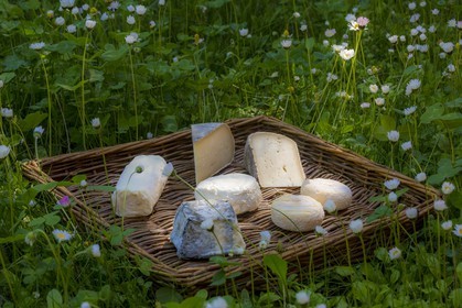 Noémie Kreiss et Julien Kaquet, Ferme des Cabrioles