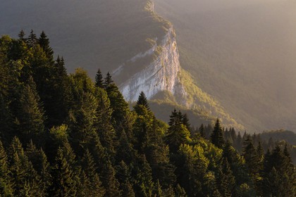 ENS de l'Isère, Les Ecouges