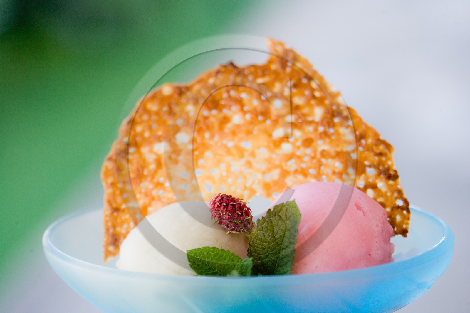 Duo de sorbet fleur de sureau et fleur de mélèze