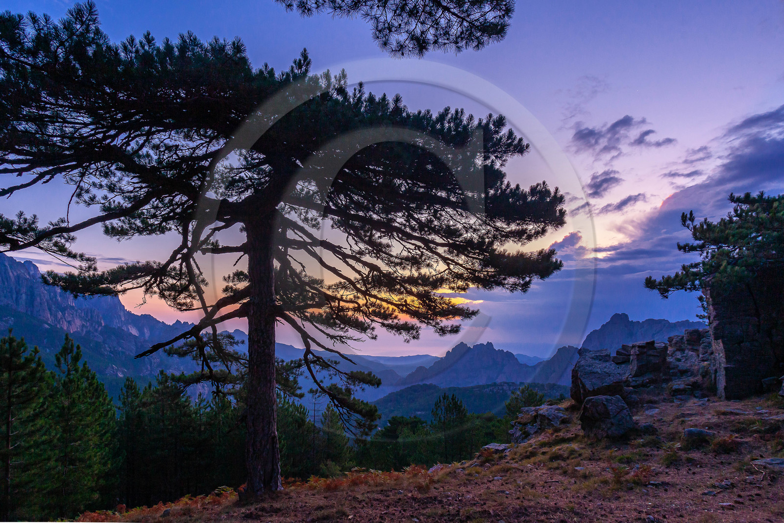 Les Aiguilles de Bavella (forchi di Bavedda )