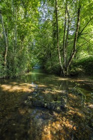 ENS de l'Isère, Zone humide de la Merlière