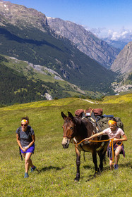 Trek famille avec animaux de bats