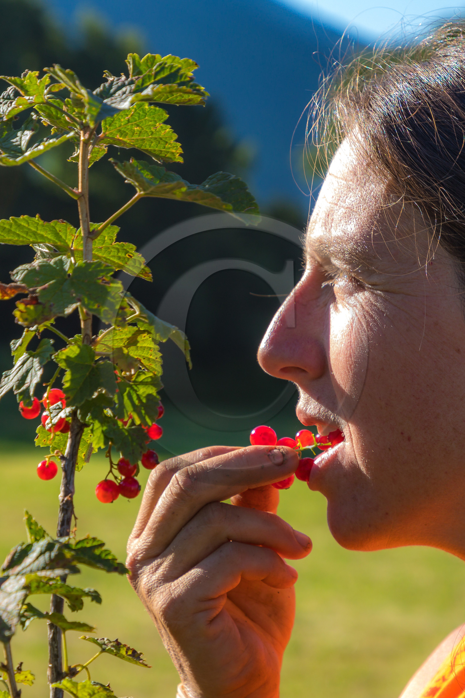 LéguMontagne Sylvie Jaussaud , Maraîchères bio