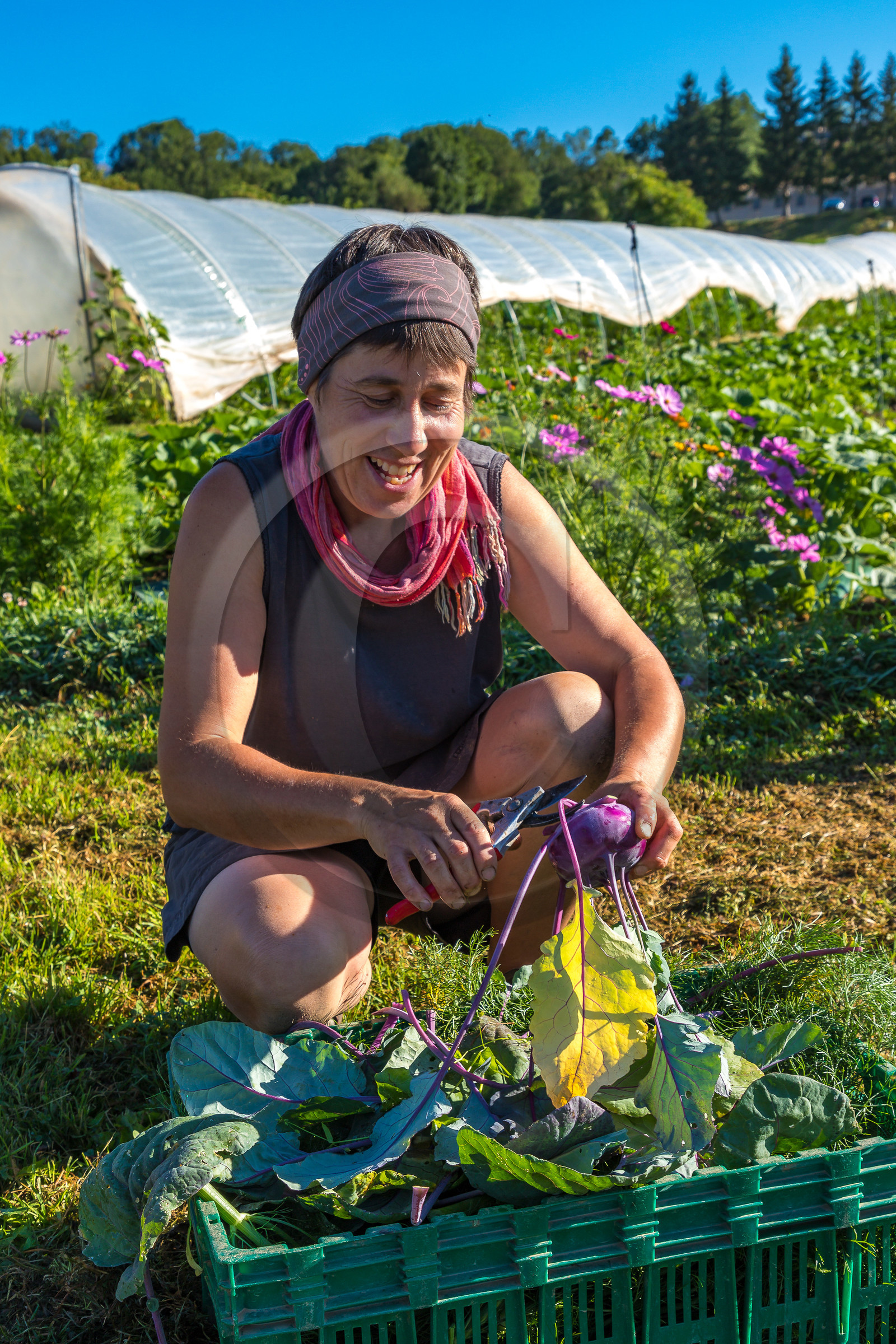 LéguMontagne, Sylvie Jaussaud et  Bertille Gieu, Maraîchères bio