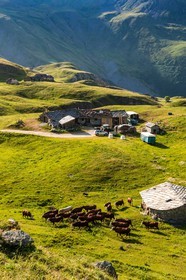 Termignon, alpage de Chavières