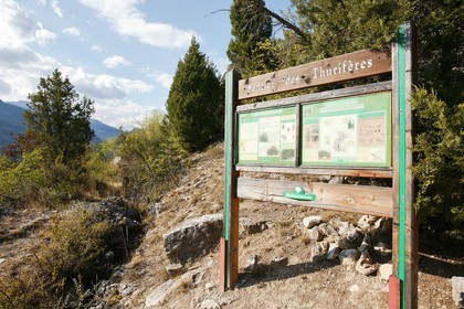 Thurifaie de Saint-Crépin