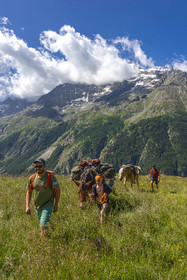 Trek famille avec animaux de bats