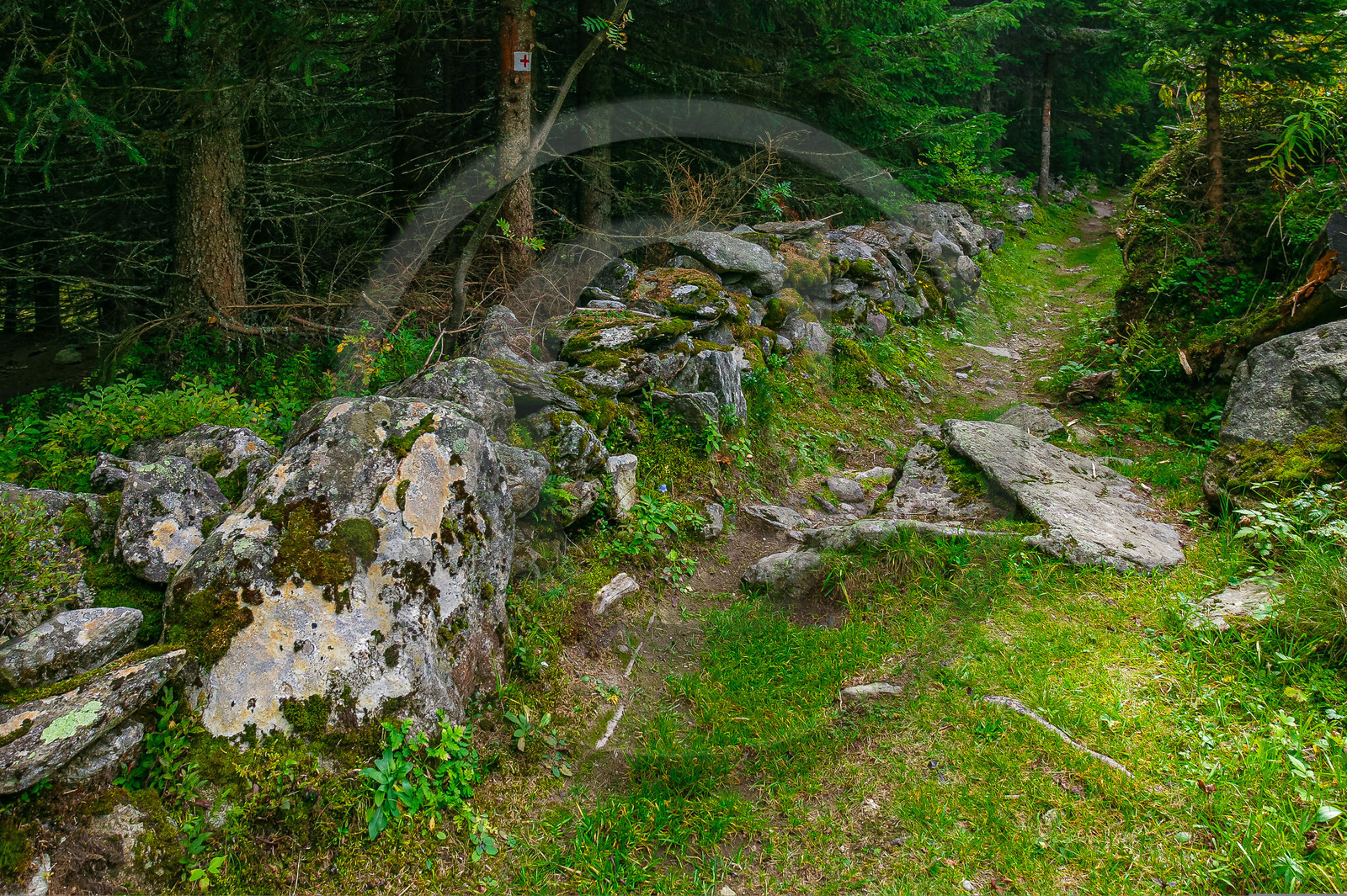 Ruines, vieux mur en pierre sèche