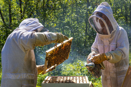 Margaux and Didier Pissard, beekeepers