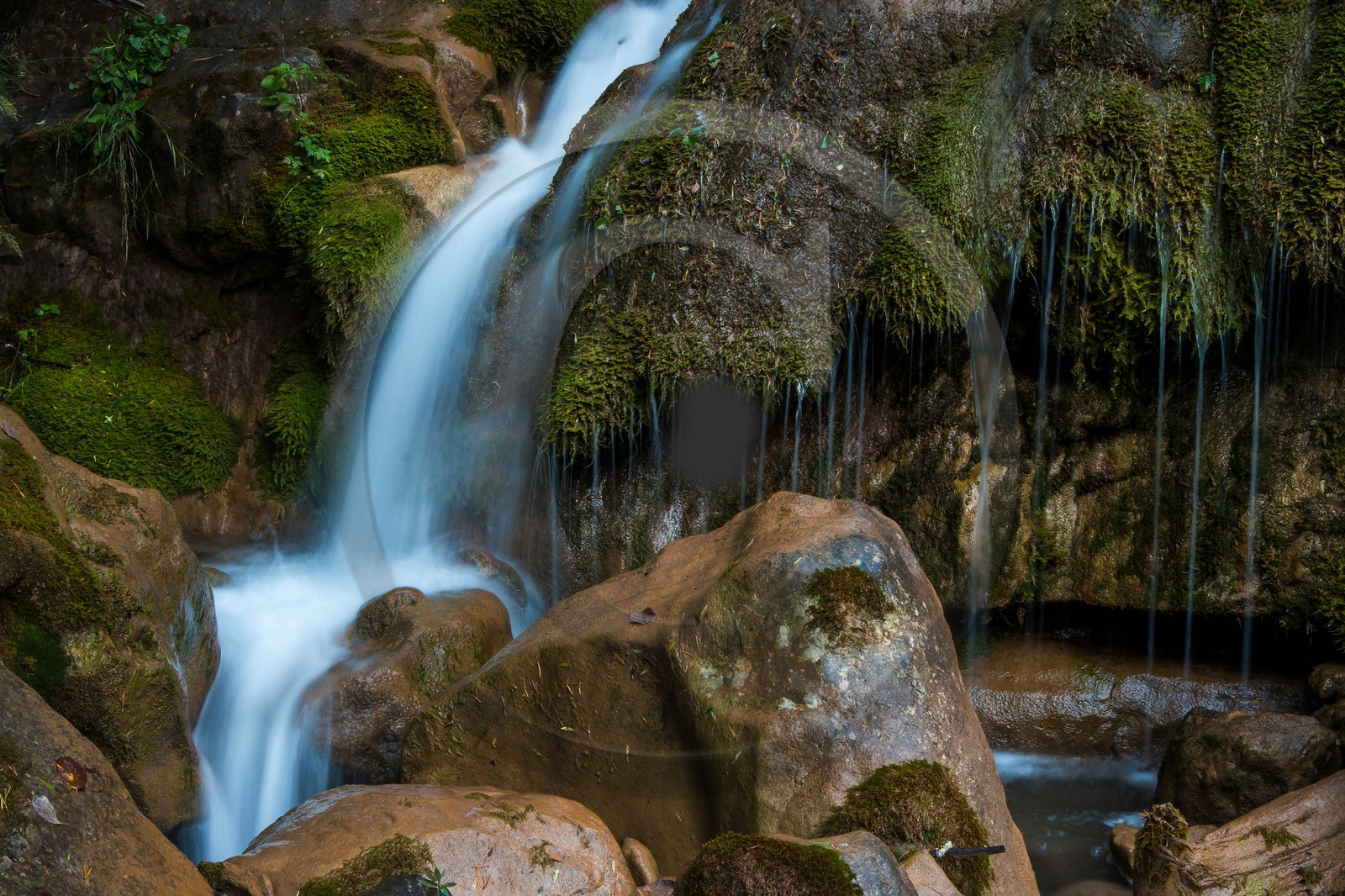 Torrent le Riou du Pont
