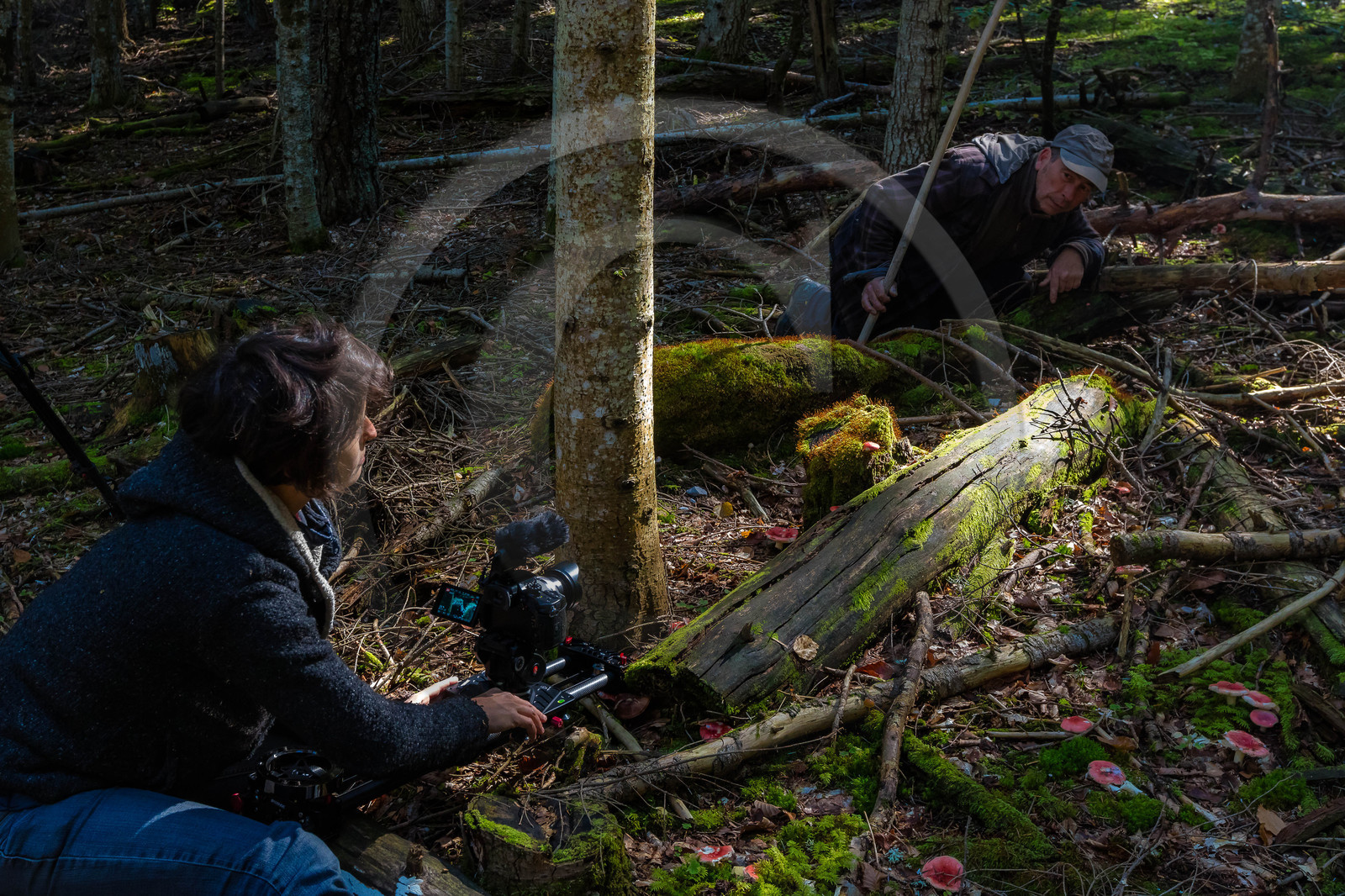Making of du film La vallée des loups