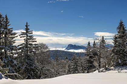 ENS de l'Isère, Plateau de la Molière et du Sornin