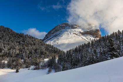 Espace naturel sensible de l'Isère, Col du Coq
